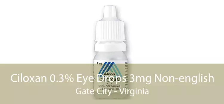 Ciloxan 0.3% Eye Drops 3mg Non-english Gate City - Virginia